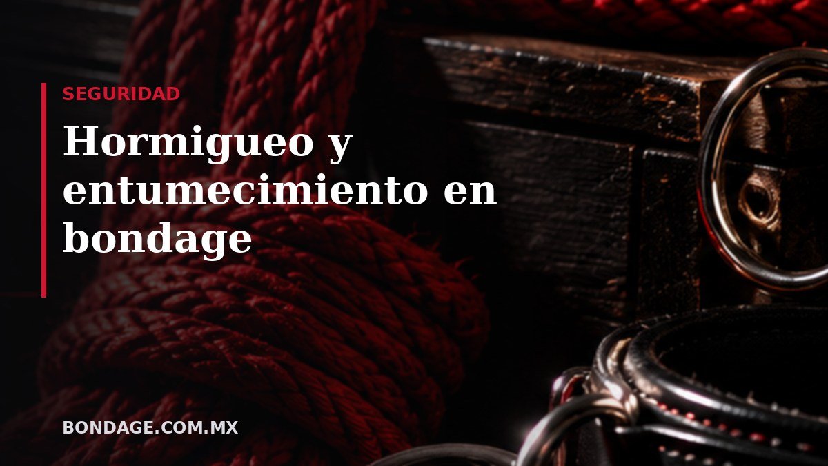 Portada del artículo: Hormigueo y entumecimiento en bondage (bondage.com.mx)